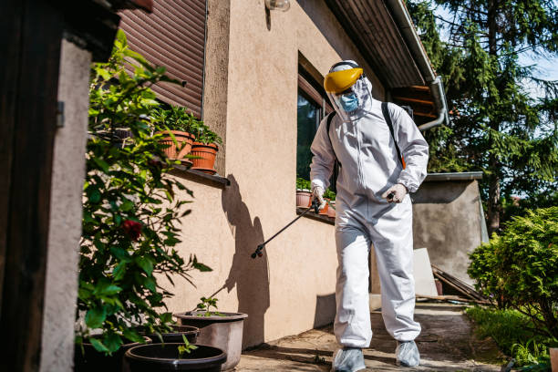Flea Control Services in Pond Creek, OK