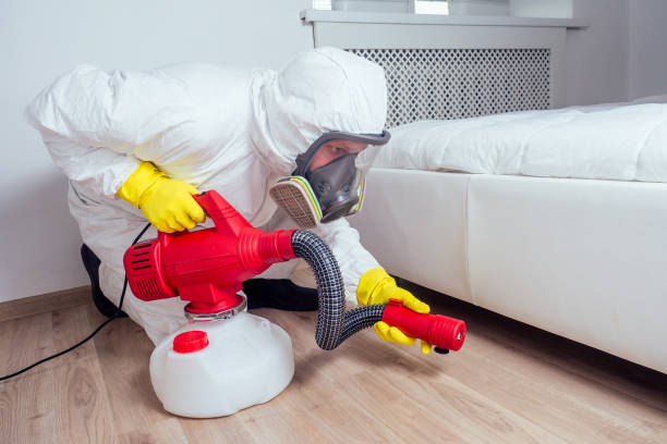 Best Affordable Pest Control Services  in Pond Creek, OK