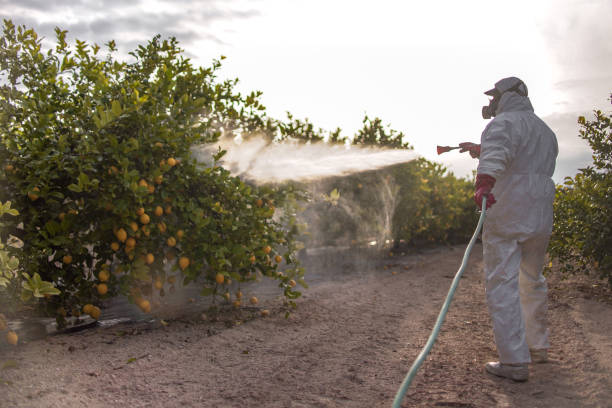 Best Wildlife Control Services  in Pond Creek, OK