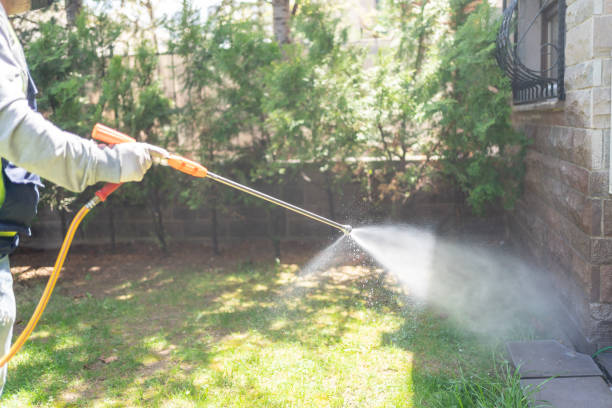 Trusted Pond Creek, OK Pest Control Experts