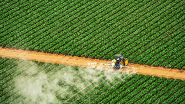 Best Bed Bug Extermination  in Pond Creek, OK